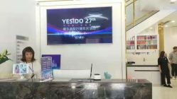 -YESIDO椰岛造型