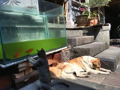 -龙姐私房菜(和顺古镇店)