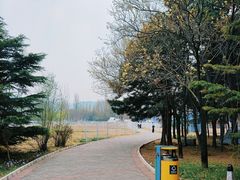 -北京金海湖景区