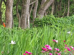 -西湖风景区-江洋畈生态公园