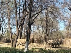 -北京野生动物园