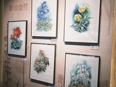 -四川大学博物馆