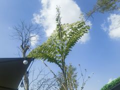 -茅草房·河畔园林火锅