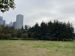 -中央公园(苏州工业园区)