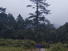 -海南热带雨林国家公园吊罗山景区