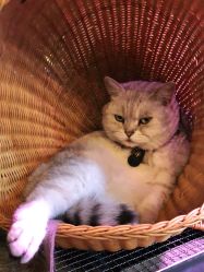 -青木造型HAIR·あおき髪を刈る潮人店