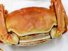 -黄记大闸蟹专卖店·活蟹·醉蟹