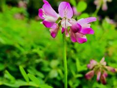 -福建鲤鱼洲酒店