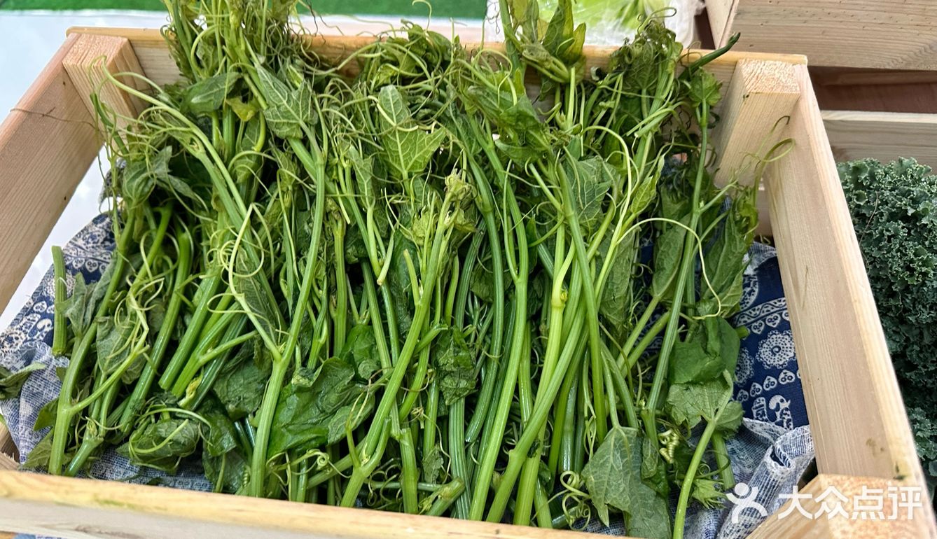 打卡送包｜夏天和折扣一起来了