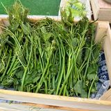 打卡送包｜夏天和折扣一起来了
