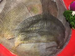 -二荆条·蜀鲜汇城市森林火锅