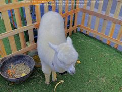 -金茂览秀城