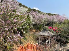 -小南山公园