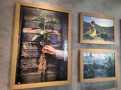 -星巴克(苏州泰华店)