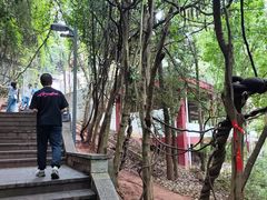 -成都老君山