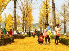 -百林公园-两江幸福广场