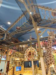 -卡通尼·Safari非洲探索乐园·生日会(金桥国际商业广场店)