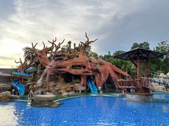 -绿光森林餐厅