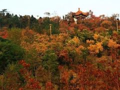 -南翠屏公园
