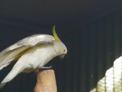 -费瑟代尔野生动物园