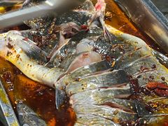 -金海椒罐罐鲢鱼(东方桂苑店)