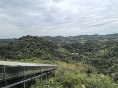 -皖西大裂谷