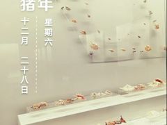 -贝壳王国博物馆