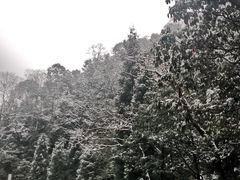 -西岭雪山大飞水景区
