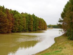 -上海海湾国家森林公园