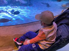 -沈阳海洋探索中心