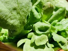 -竹叶涮肉坊(总店)