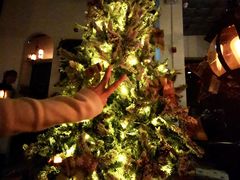 -Catail前苑(前门大街店)