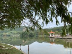 -深圳仙湖植物园