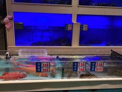 -宜宾海鲜酒家·三十年老字号