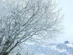 -太子岭滑雪场