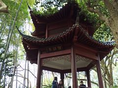 -杭州黄龙洞