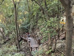-大岭沟猕猴桃谷风景区