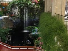 -白天鹅宾馆·流浮阁咖啡厅