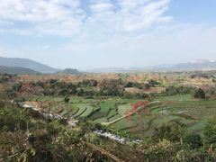 -海南霸王岭国家森林公园