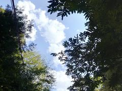 -青峰峡国家森林公园