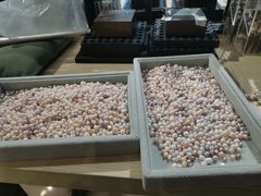 -Oasis绿洲银饰珍珠手作diy(壹方城店)