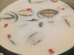 -煲宫猪肚鸡(晶品店)