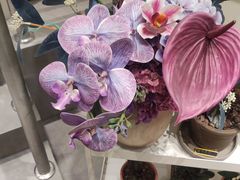 -婷意花宇TheGracesFloral(北外滩店)