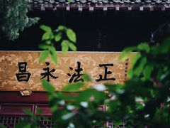 -洛阳白马寺
