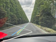 -黄海国家森林公园