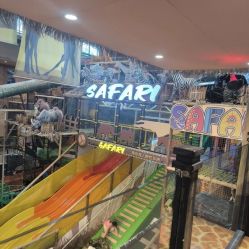 -卡通尼·Safari非洲探索乐园·生日会(金桥国际商业广场店)