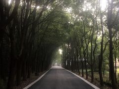 -同里国家湿地公园