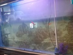 -德全心悦酒店(北京金台路地铁站店)