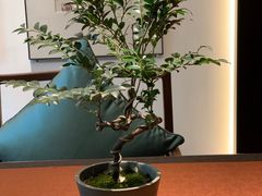 -王府茶楼茶宴·创意菜(朝阳公园店)