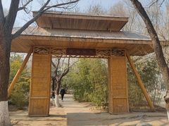 -大兴滨河森林公园